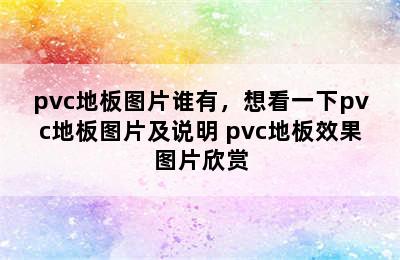 pvc地板图片谁有，想看一下pvc地板图片及说明 pvc地板效果图片欣赏